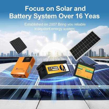 Kit De Panel Solar Y Soporte De Seguimiento ECO-WORTHY 200W 400W 800W 1000W Vatios